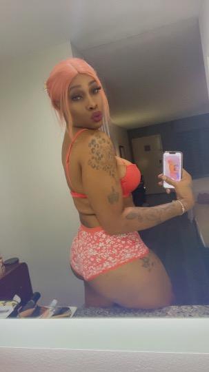 TALL AND SEXY STALLION - Photo 2